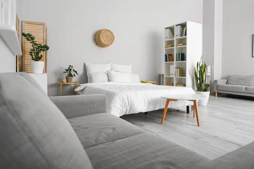 Studio apartment with white bed, gray sofa, coffee table, freestanding shelves, and indoor plants