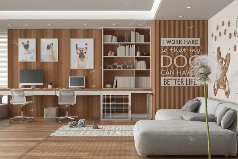 Image showcasing 14 Best Office Pets for Happy Workplaces - teambuilding.com