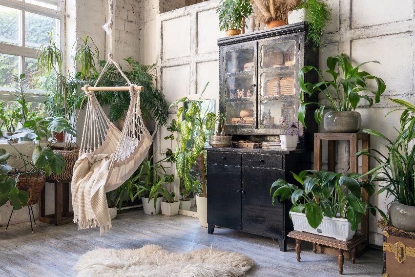Cozy rope swing in living area with green houseplants