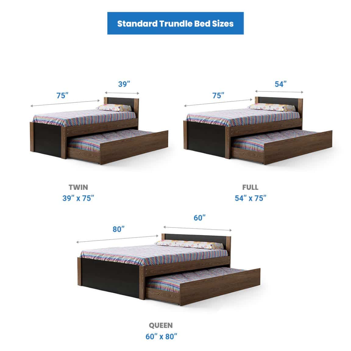 Trundle Bed Dimensions (Standard Height & Width)