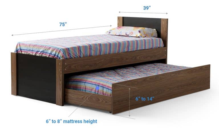 Trundle Bed Dimensions (Standard Height & Width)