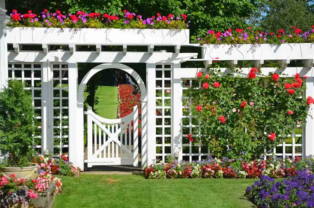 garden with fence gate and pergola