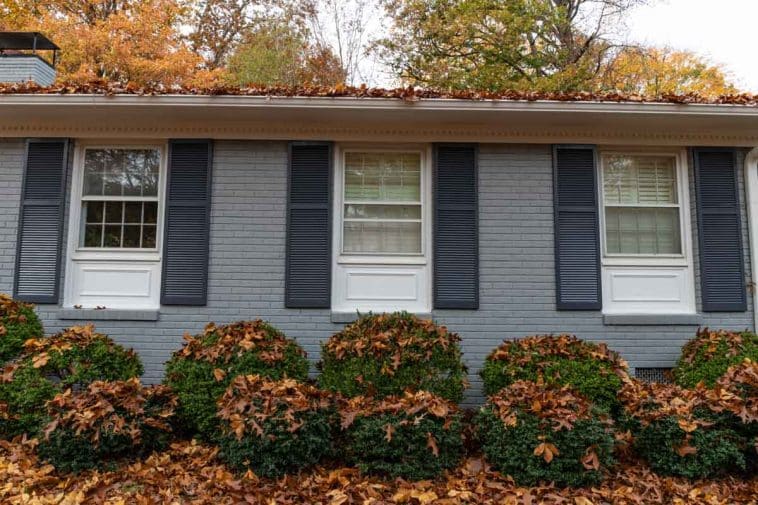 Shutter Colors For Gray House (Options for Light & Dark Shades)