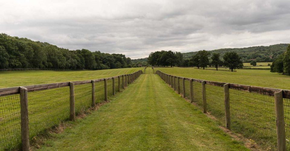 California Style Fence Materials Building Tips Designing Idea   Outdoor Space With Chain Link Fence Is 960x501 