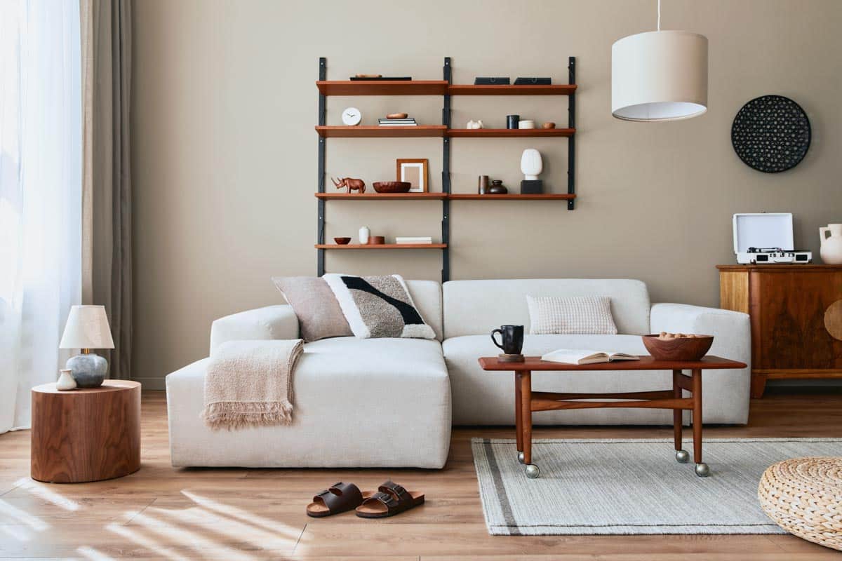 relaxing room with sofa shelves and floor rug