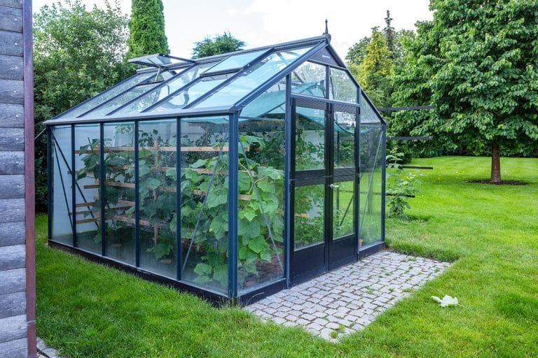 Greenhouse Sizes (Average, Small & Family Dimensions)
