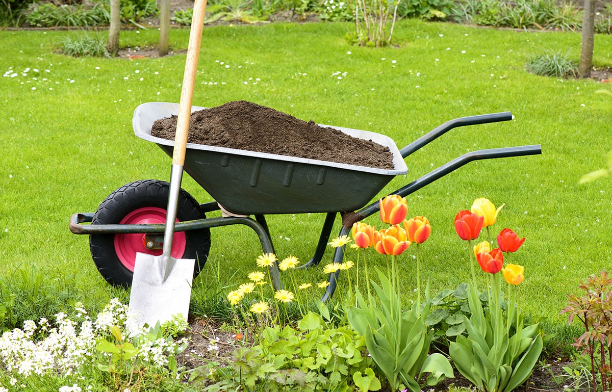 Garden with wheelbarrow and shovel