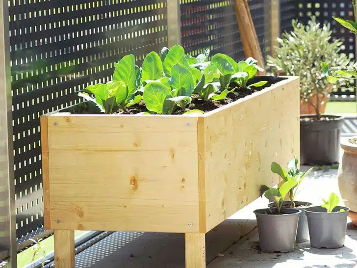 Planter Box Dimensions (Sizes for Vegetables, Herbs, Windows & Trees)