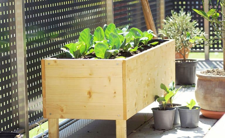 Planter Box Dimensions (Sizes for Vegetables, Herbs, Windows & Trees)