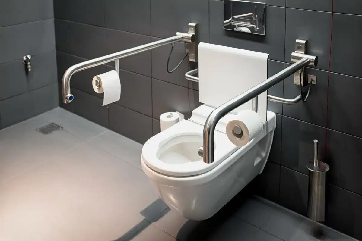 bathroom toilet for elderly with handle bars