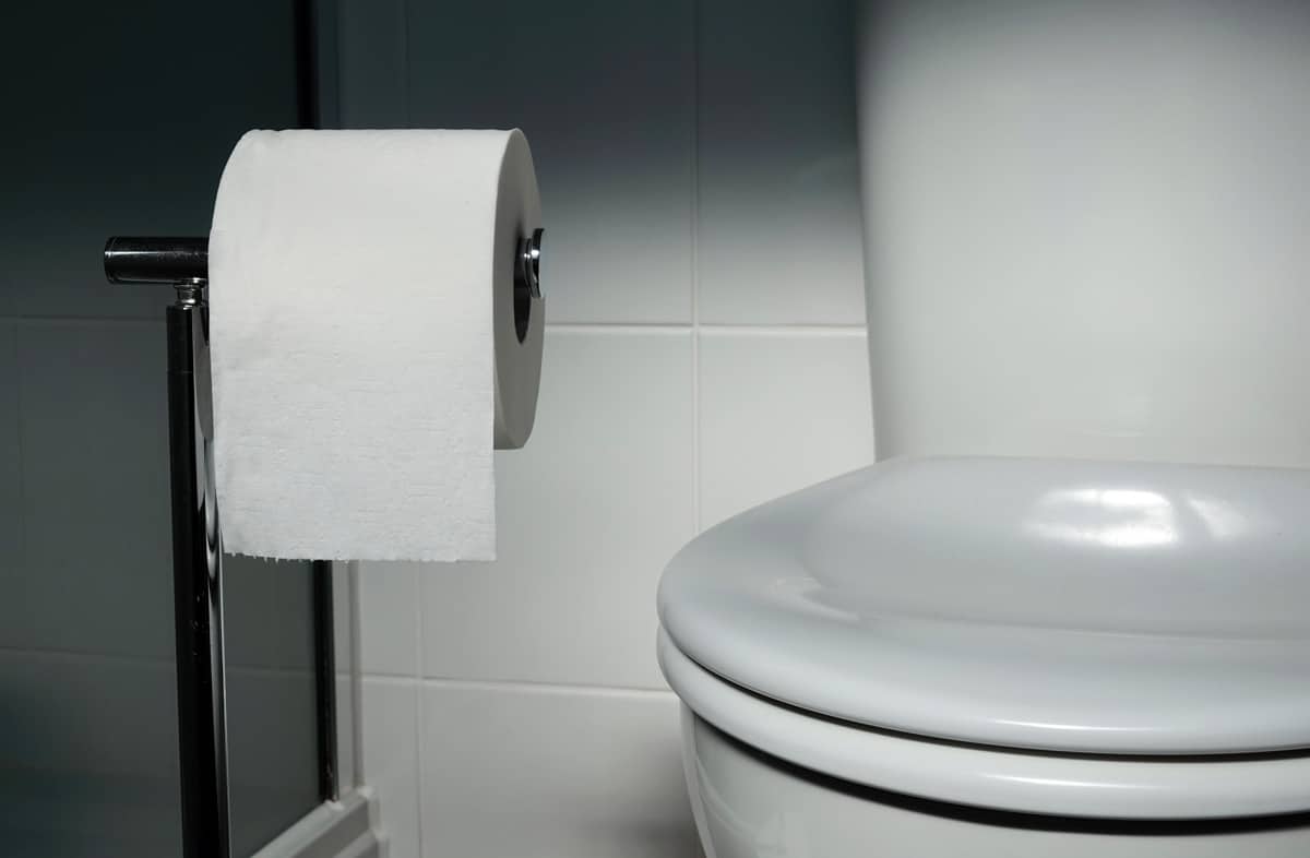 bathroom with tissue holder