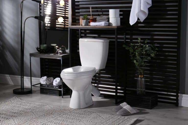 bathroom with towel holder toilet and mirror