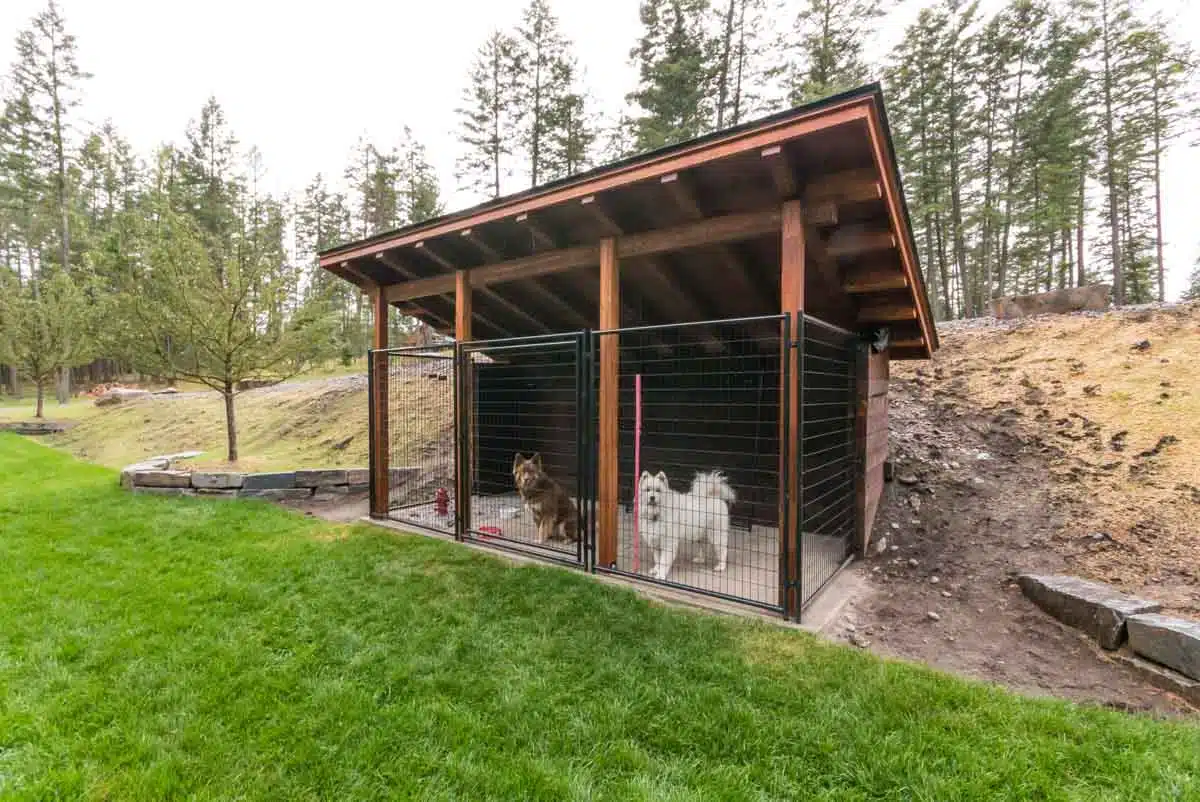 yard with dog shelter and grass