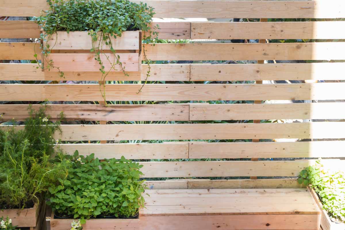 fences made of pallet wood with hanging planters