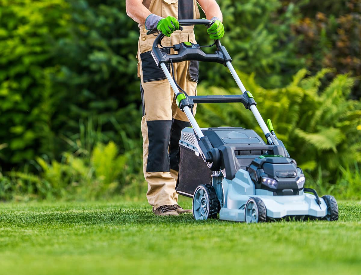 Gardener cutting grass with lawn mower