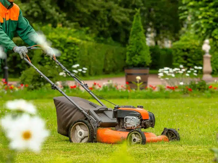 What Size Lawn Mower Do I Need?