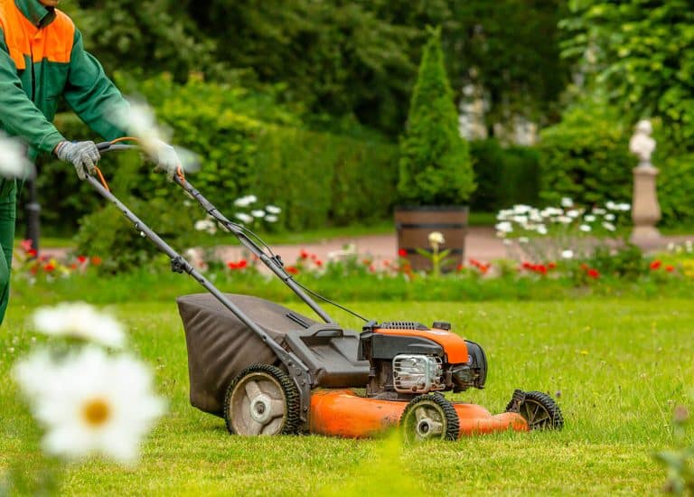 What Size Lawn Mower Do I Need?