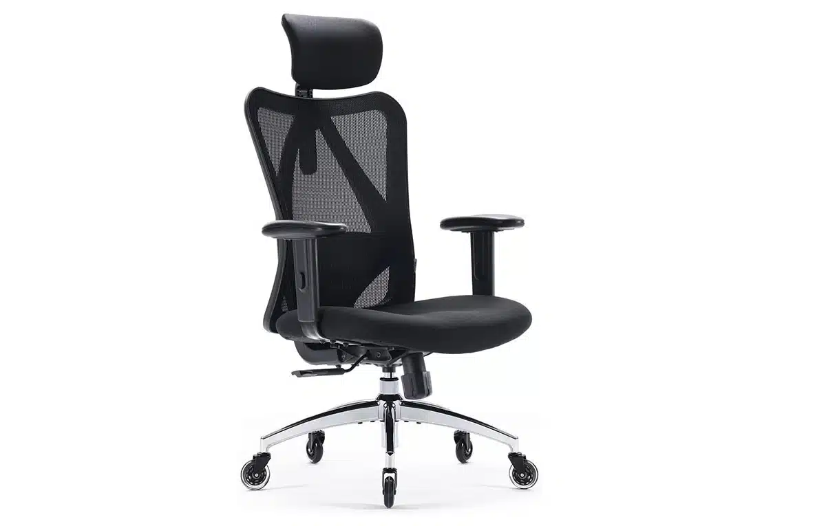 XUER Ergonomic Computer Adjustable Headrest Chair