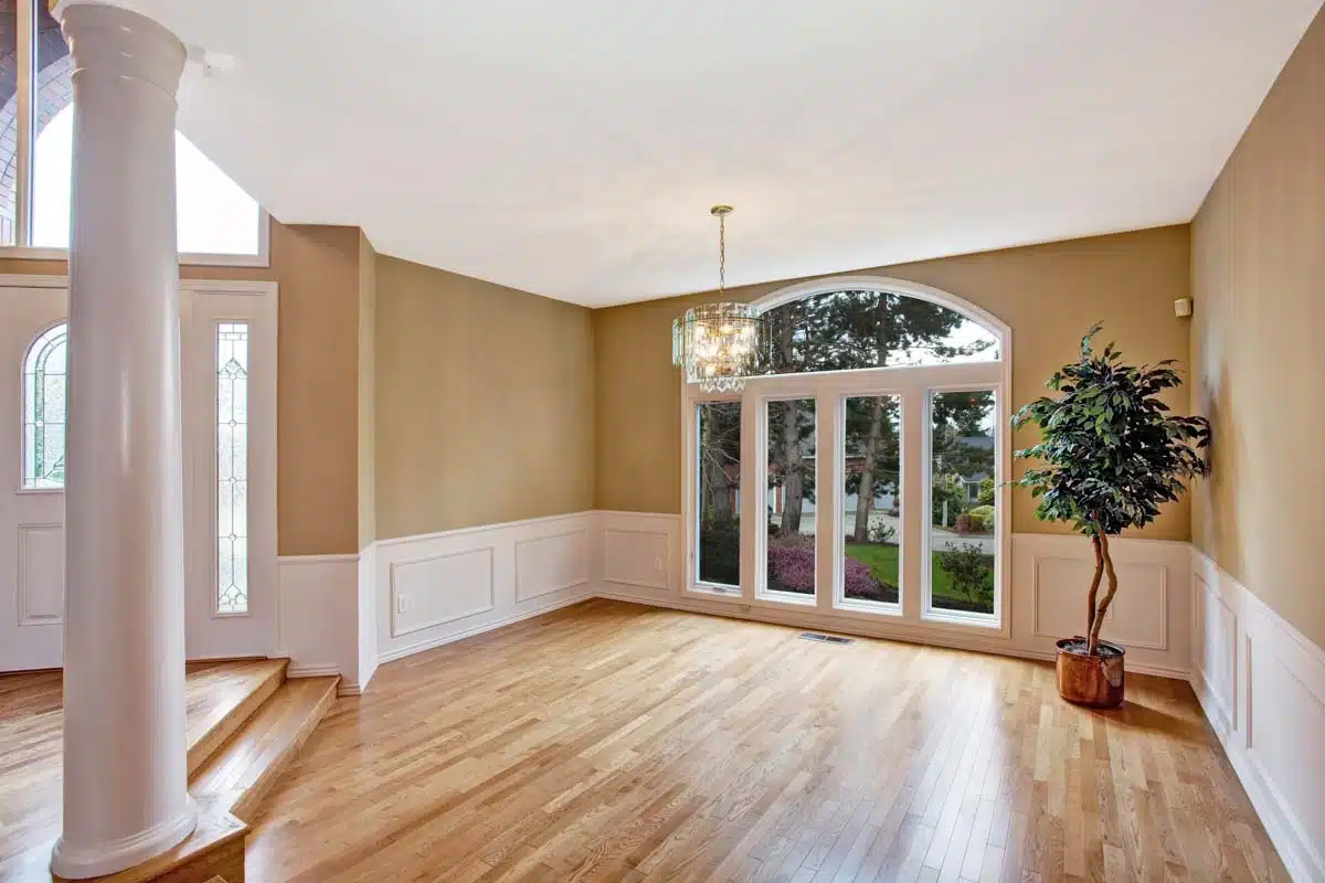 empty room with wood flooring and indoor plant