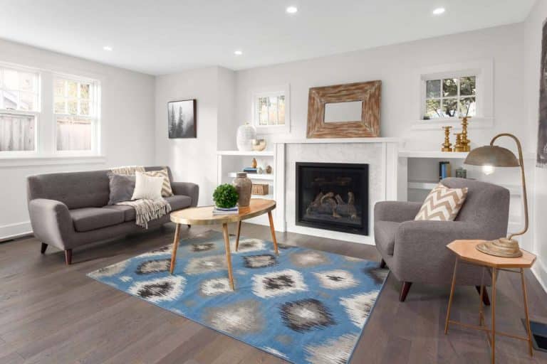 What Size Rug for the Living Room (Interior Design Guide)