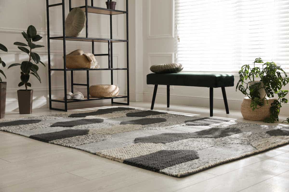 rug in room with shelves