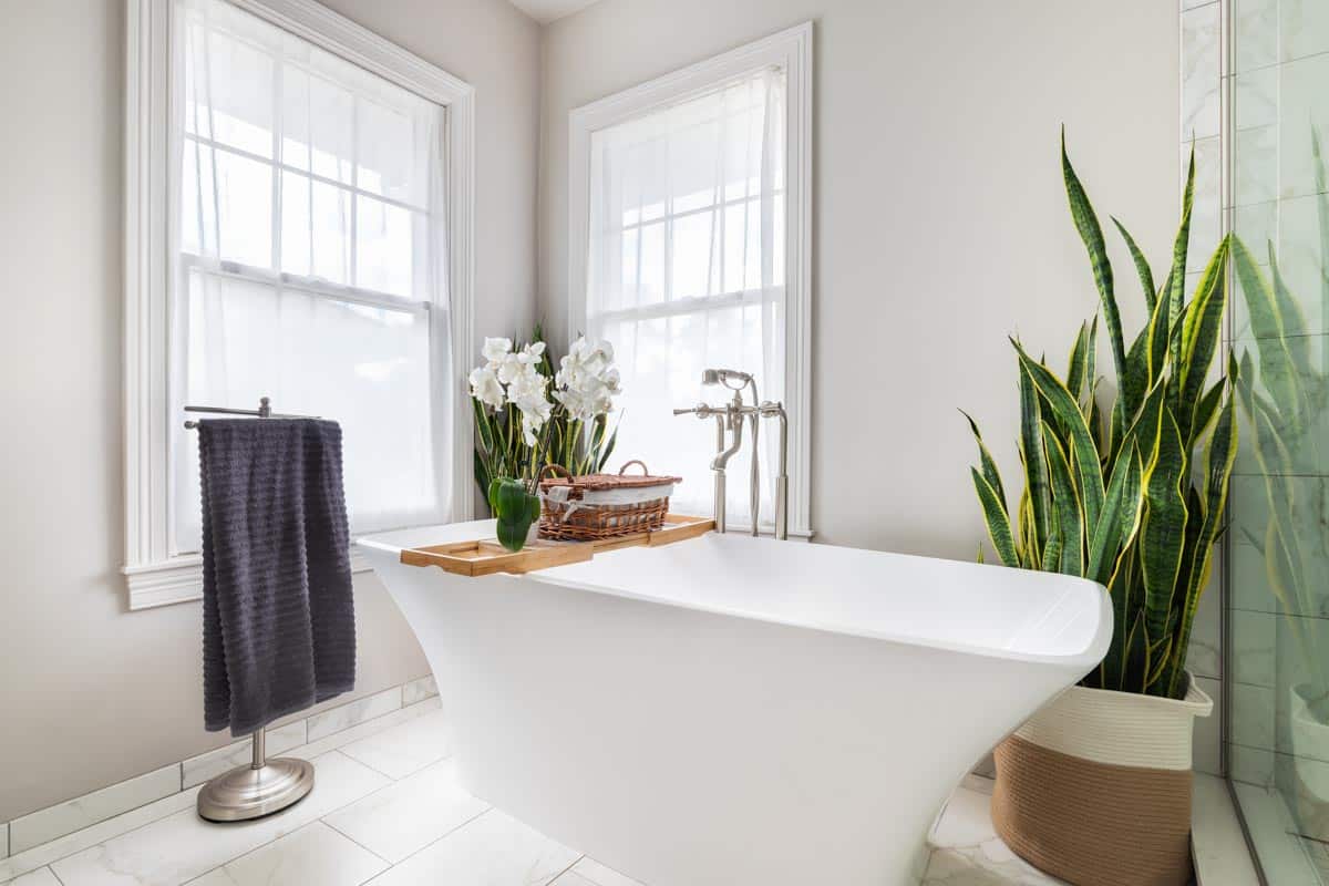 bathroom with tub windows and indoor plant