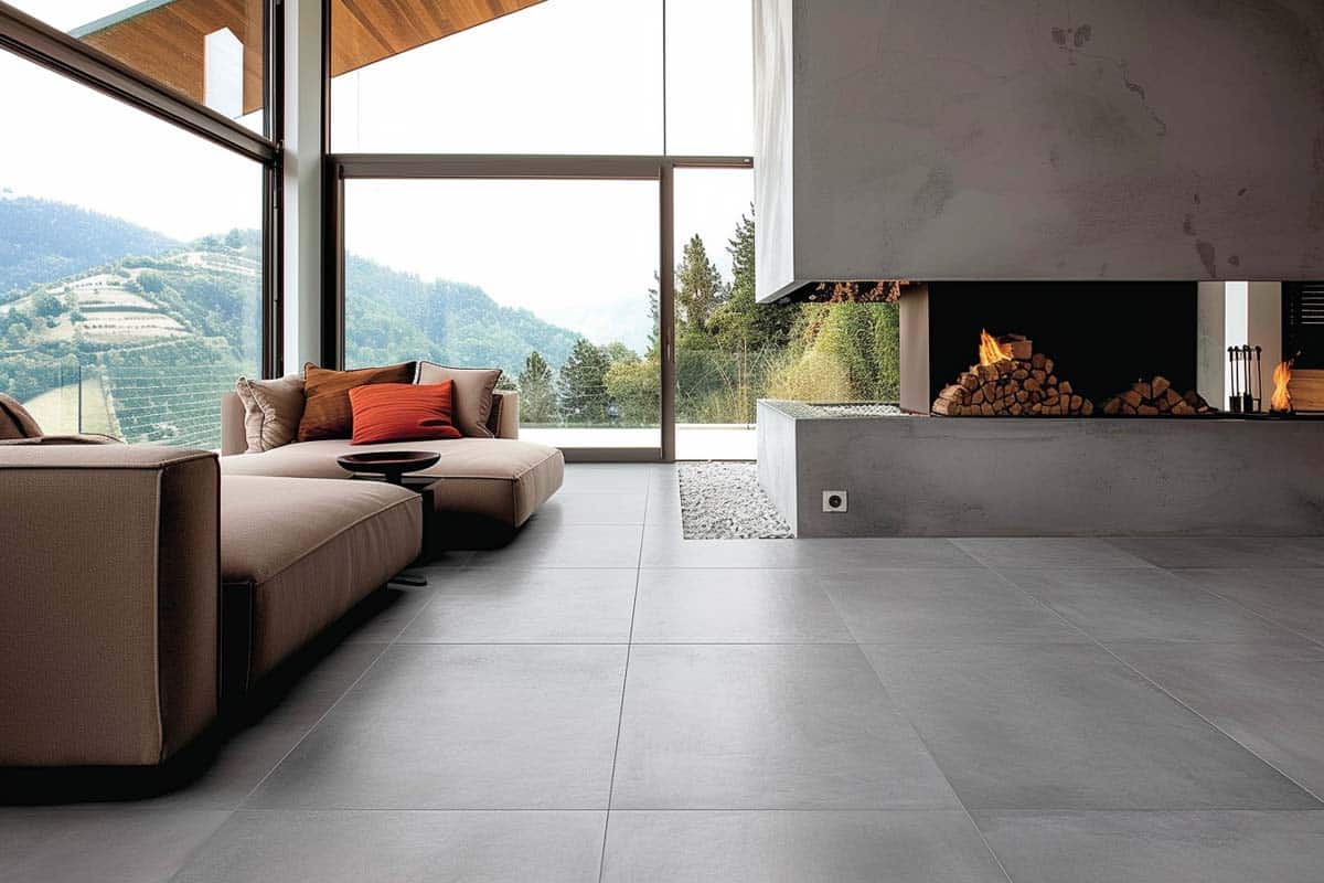 spacious living space with concrete tiles for floors