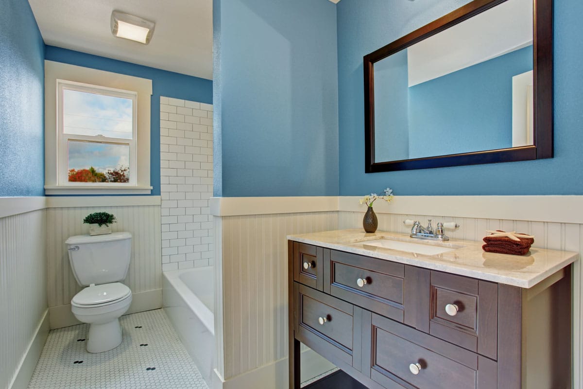 white and blue bathroom with toilet and window