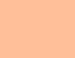 Pantone peach fuzz 13-1023